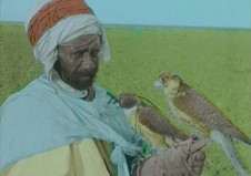 Travelogue leven in Algerije 3 Falcon hunting in Algeria copy