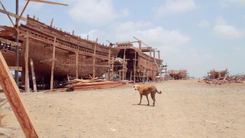 Dog Island stillShehrezad Maher